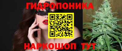 jwh Свободный