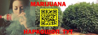 гидра Славгород