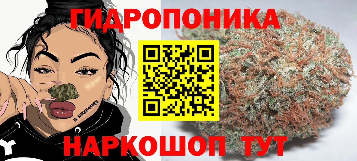 Бошки марихуана сатива  Конопля OG Kush  МАРИХУАНА план  Вольск  Канабис VHQ  Вход с VPN 